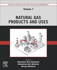 Advances Natural Gas: Formation, Processing, and Applications. Volume 7: Gas Products Uses