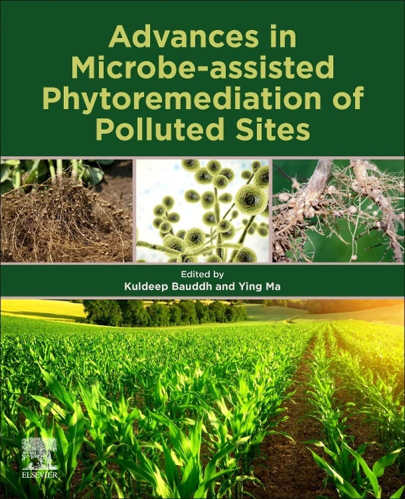 Advances Microbe-assisted Phytoremediation of Polluted Sites