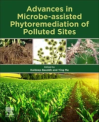 Advances Microbe-assisted Phytoremediation of Polluted Sites