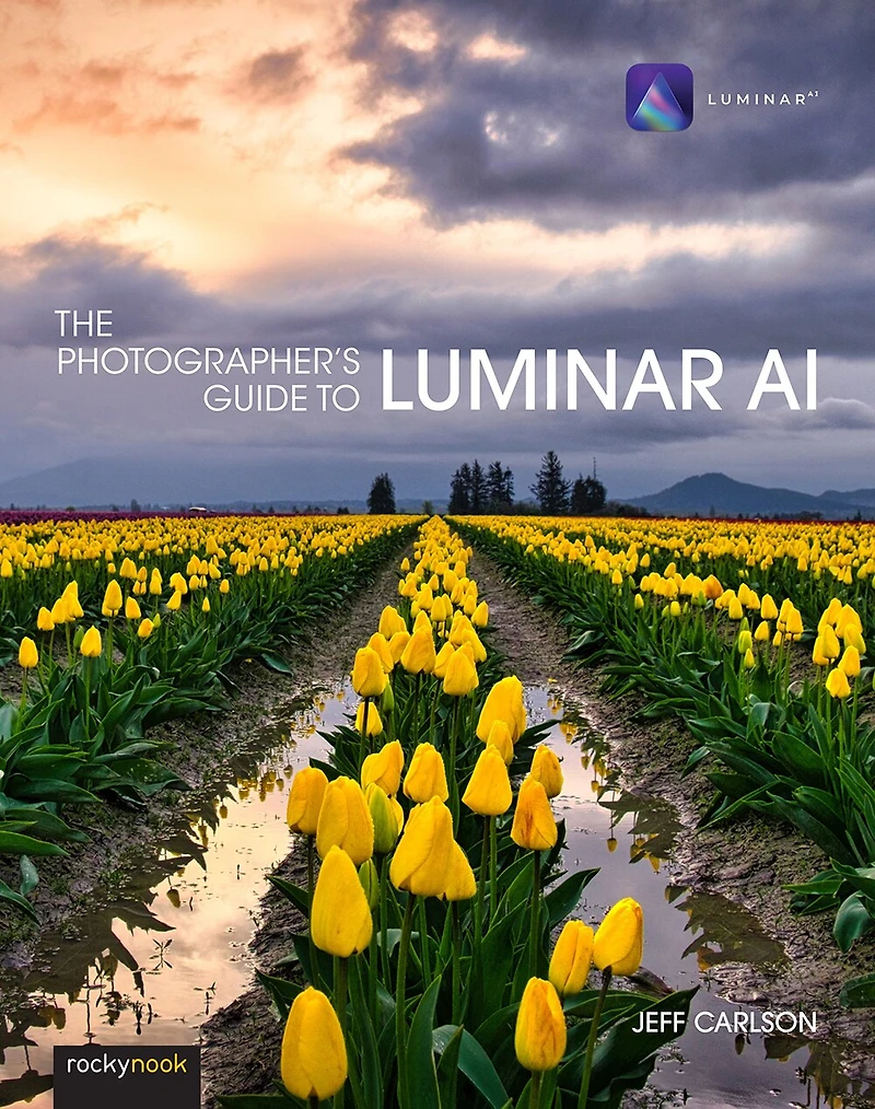 The Photographer's Guide To Luminar Ai