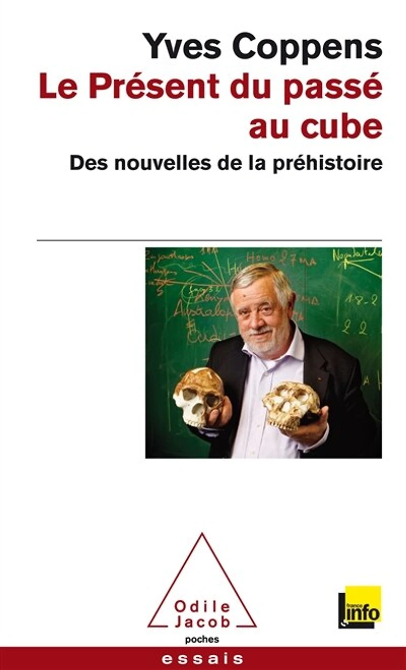 Le présent du passé au cube: des nouvelles de la préhistoire