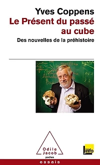 Le présent du passé au cube: des nouvelles de la préhistoire