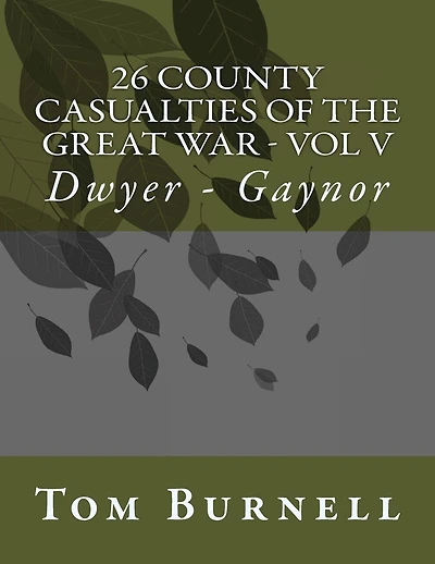 26 County Casualties of the Great War Volume V: Dwyer - Gaynor
