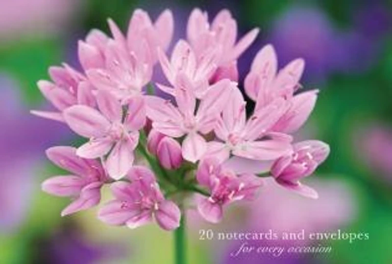 Card Box of 20 Notecards and Envelopes: Allium: A delightful pack of high-quality flower gift cards and decorative envelopes.