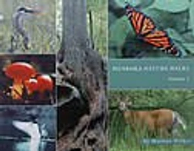Muskoka Nature Walks
