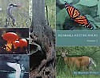 Muskoka Nature Walks