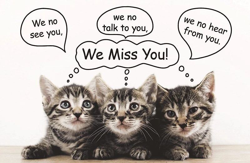 Miss You Postcard: We Miss You! (Package of 25): Kittens