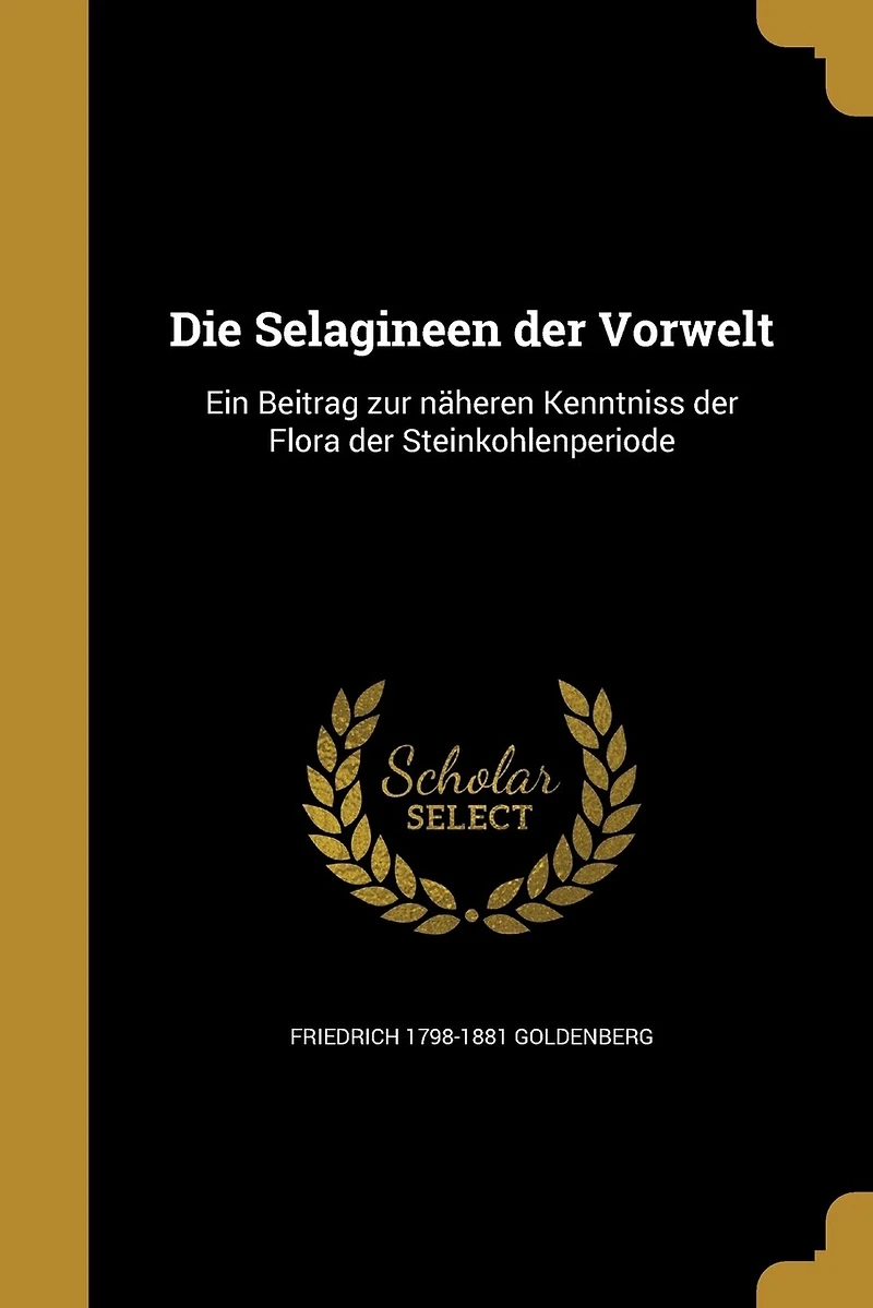 Die Selagineen der Vorwelt: Ein Beitrag zur näheren Kenntniss Flora Steinkohlenperiode