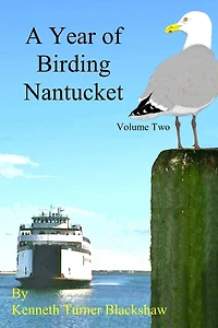 A Year of Birding Nantucket: Volume Two