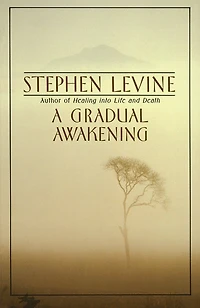 A Gradual Awakening