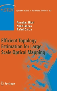 Efficient Topology Estimation for Large Scale Optical Mapping