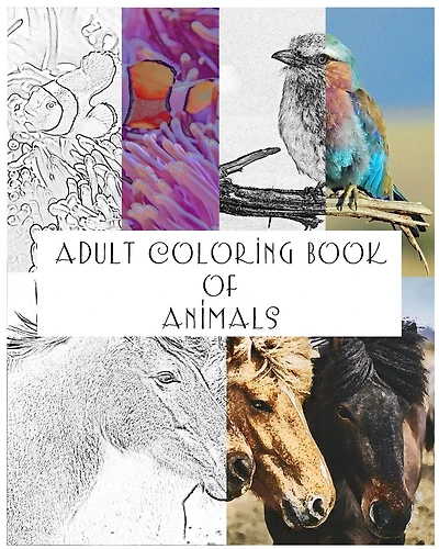 Adult Coloring Book of Animals: 38 Coloring pages of various animals