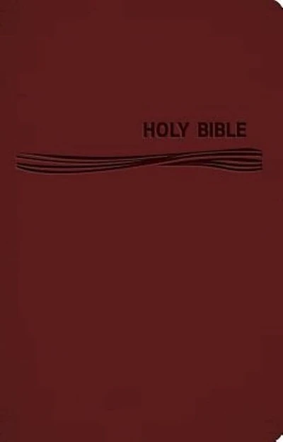 CEB Deep Blue Kids Bible Classic Burgundy