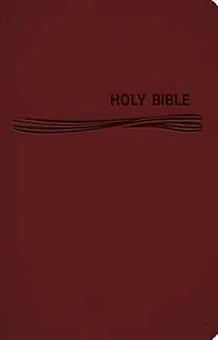 CEB Deep Blue Kids Bible Classic Burgundy