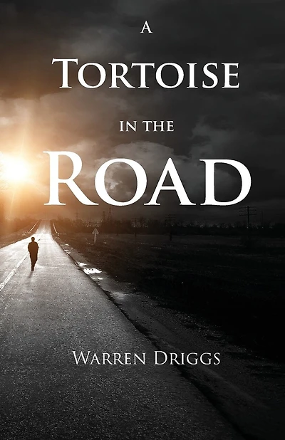 A Tortoise In The Road