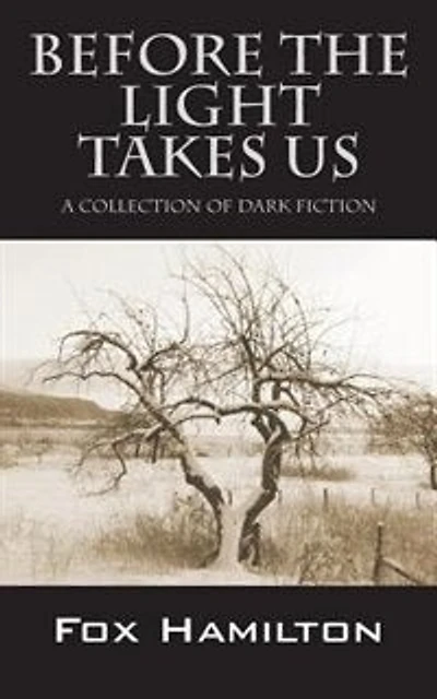 Before The Light Takes Us: A Collection Of Dark Fiction