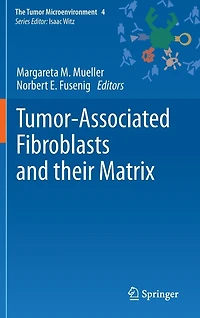 Tumor-Associated Fibroblasts and their Matrix