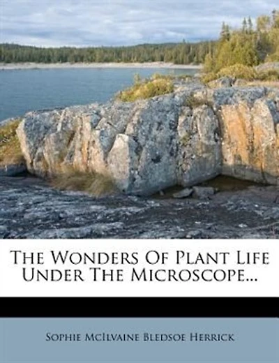 The Wonders Of Plant Life Under The Microscope...