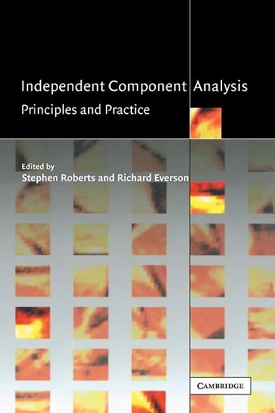 Independent Component Analysis: Principles And Practice