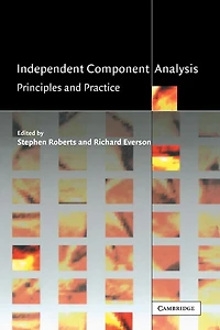 Independent Component Analysis: Principles And Practice