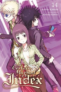 A Certain Magical Index, Vol. 14 (light novel)