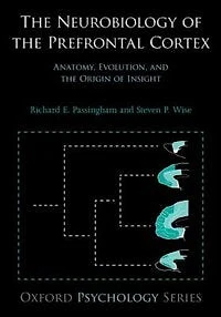 the Neurobiology of Prefrontal Cortex: Anatomy, Evolution, and Origin Insight