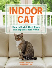 Indoor Cat: How to Enrich their Lives and Expand World