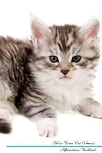 Maine Coon Cat Affirmations Workbook Maine Coon Cat Presents: Positive and Loving Affirmations Workbook. Includes: Mentoring Questions, Guidance, Supporting You.