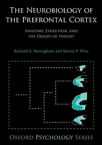 the Neurobiology of Prefrontal Cortex: Anatomy, Evolution, and Origin Insight