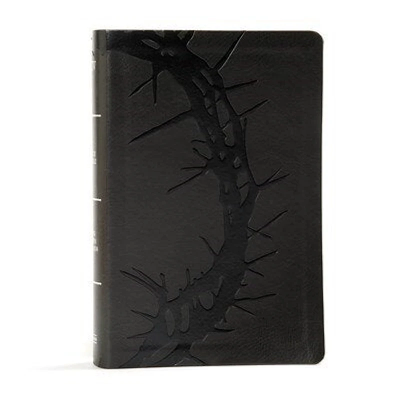 KJV Large Print Personal Reference Bible, Earthen SuedeSoft LeatherTouch