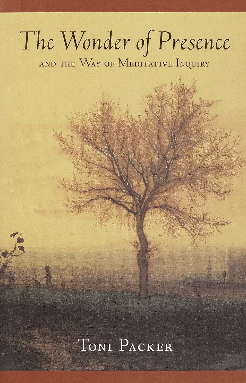 the Wonder of Presence: And Way Meditative Inquiry