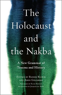 the Holocaust and Nakba: A New Grammar of Trauma History