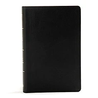 KJV Large Print Personal Reference Bible, Earthen SuedeSoft LeatherTouch