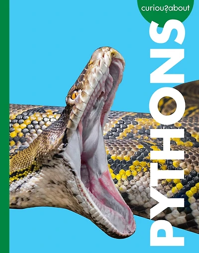 Curious about Pythons
