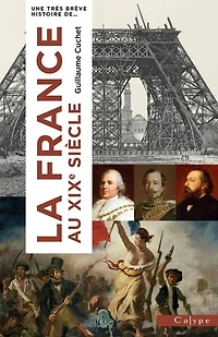 La France au XIXe siècle : l'onde de choc de la Révolution: l'onde de choc de la Révolution