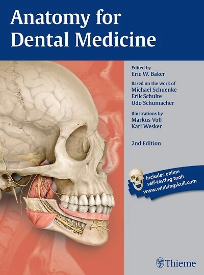 Anatomy For Dental Medicine