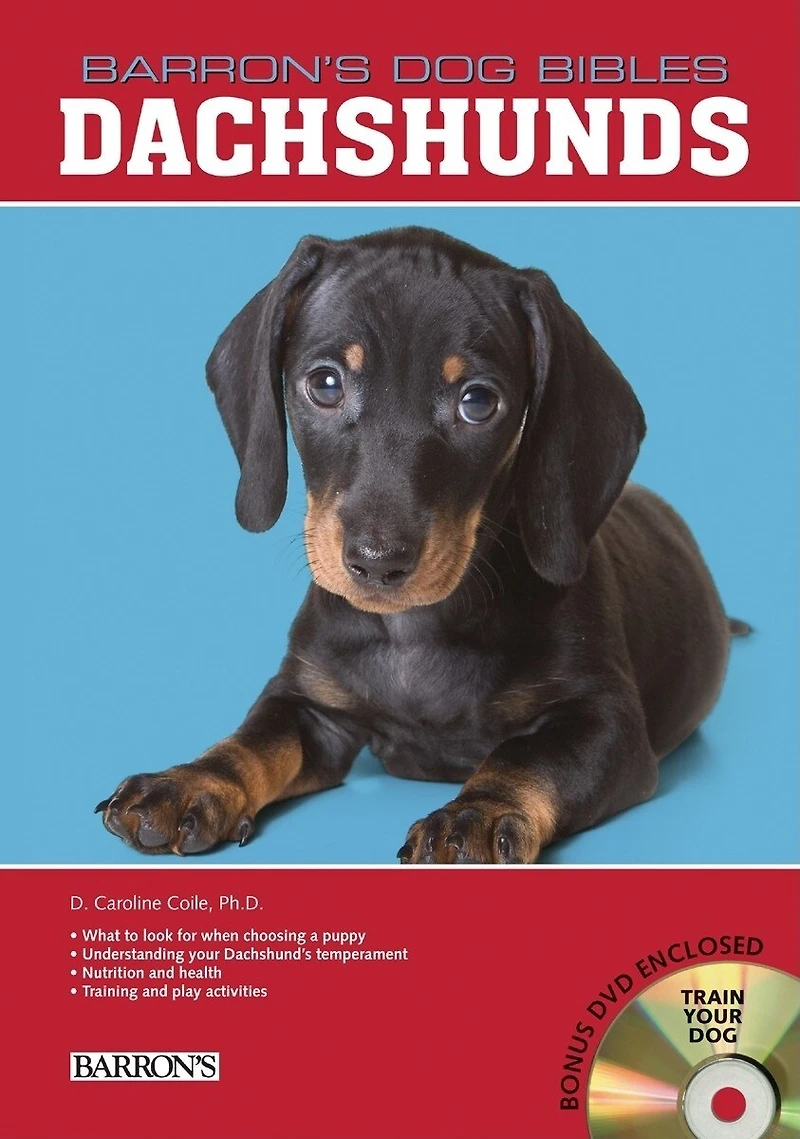 Dachshunds
