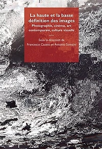 La haute et la basse définition des images : photographie, cinéma, art contemporain, culture visuelle: photographie, cinéma, art contemporain, culture visuelle