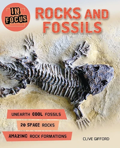 In Focus: Rocks And Fossils