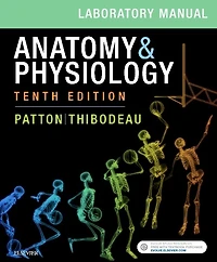 Anatomy And Physiology Laboratory Manual E-labs