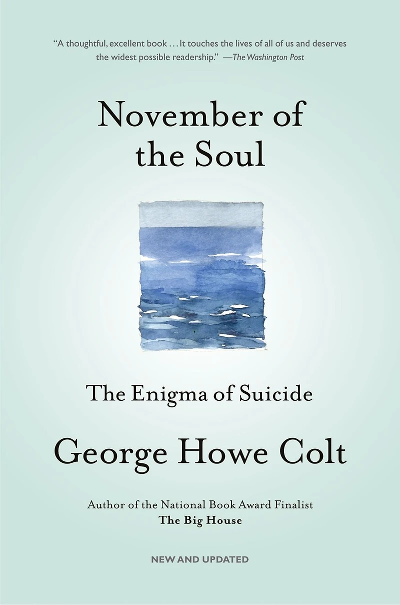 November of The Soul: Enigma Suicide