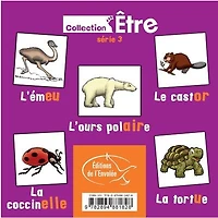 Collection Être - Série 3 : L'émeu - L'ours polaire - Le castor - La coccinelle - La tortue: L'émeu - L'ours polaire - Le castor - La coccinelle - La tortue
