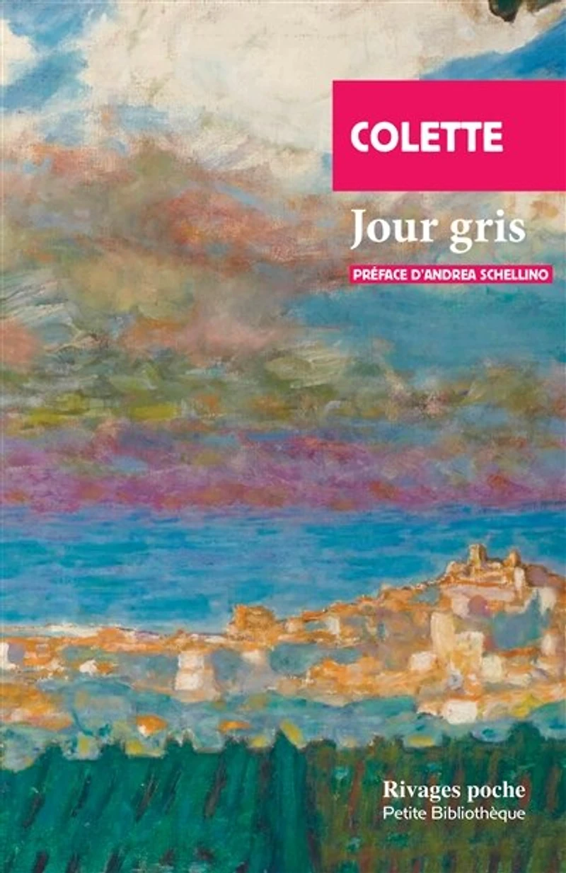 Jour gris : et autres récits: récits
