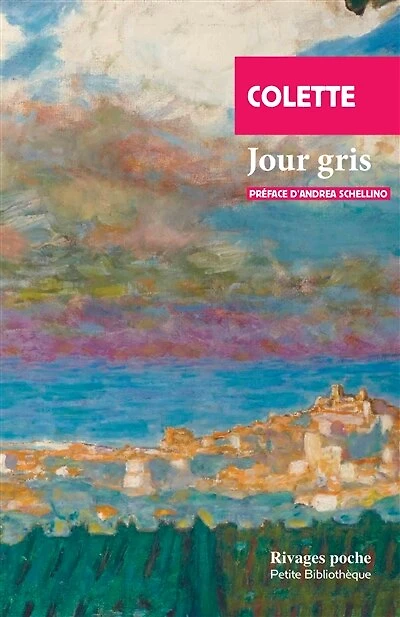 Jour gris : et autres récits: récits