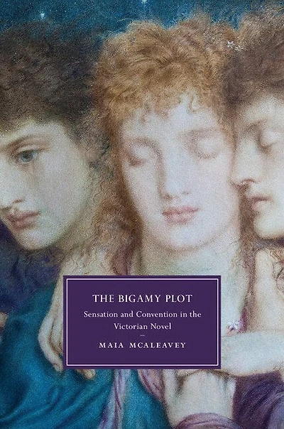 The Bigamy Plot: Sensation And Convention Victorian Novel