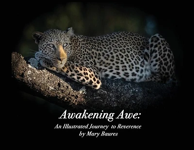 Awakening Awe: An Illustrated Journey To Reverence