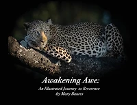 Awakening Awe: An Illustrated Journey To Reverence
