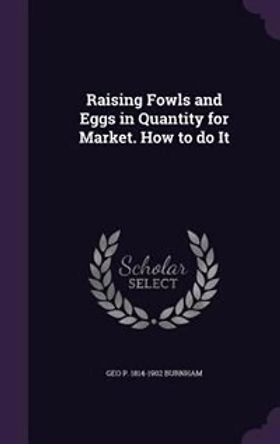 Raising Fowls and Eggs Quantity for Market. How to Do It