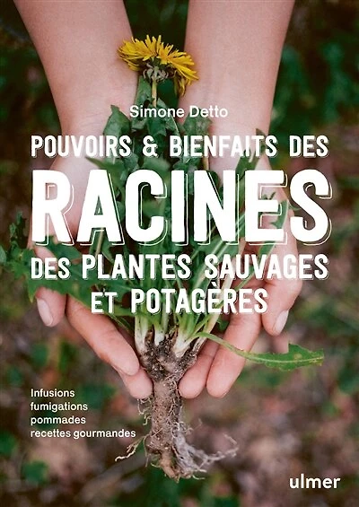 Pouvoirs & bienfaits des racines des plantes sauvages et potagères