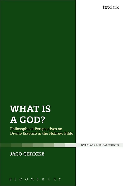 What is a God?: Philosophical Perspectives on Divine Essence the Hebrew Bible